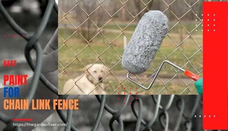 Paint for Chain Link Fence