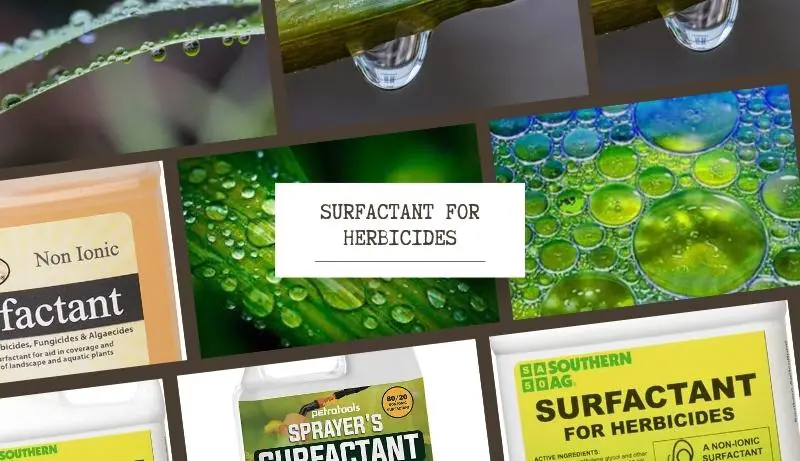 Surfactant for Herbicides