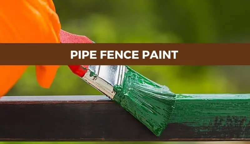 Paint for Pipe Fence