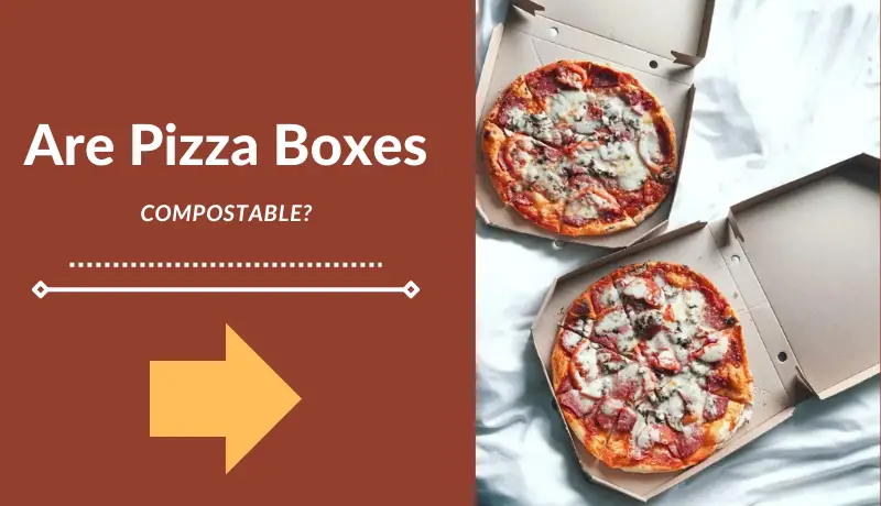 Are Pizza Boxes Compostable